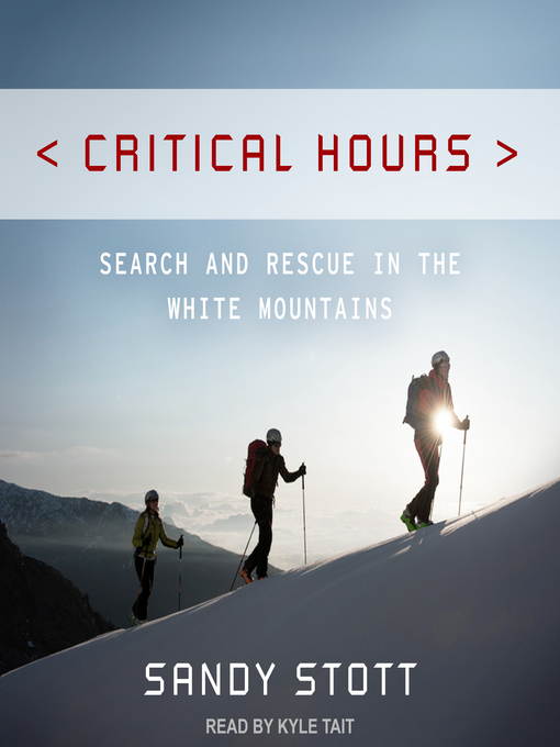 Title details for Critical Hours by Sandy Stott - Wait list